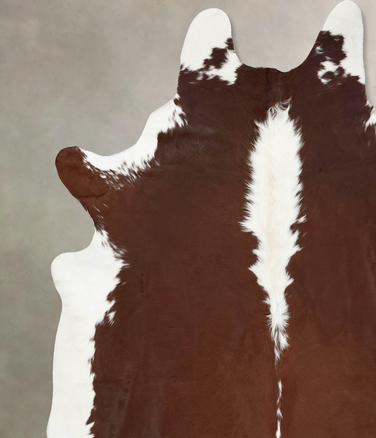 Hereford XX-Large Brazilian Cowhide Rug 8'9"H x 7'6"W #B13417 by Hudson Hides
