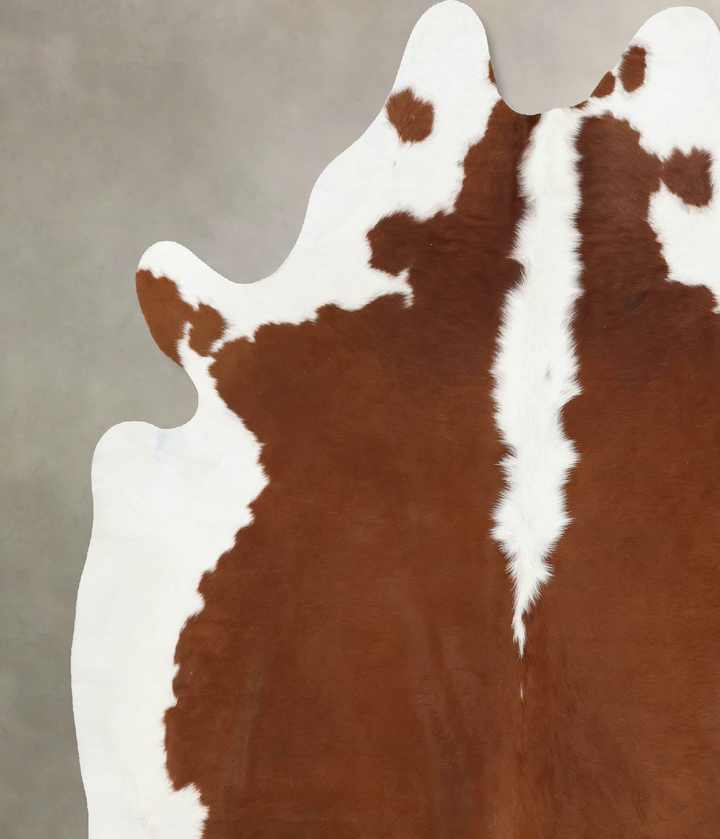 Hereford XX-Large Brazilian Cowhide Rug 7'11"H x 6'9"W #B13419 by Hudson Hides
