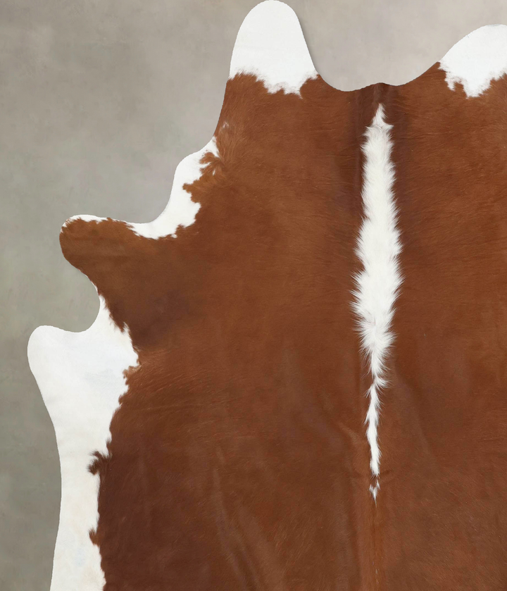 Hereford XX-Large Brazilian Cowhide Rug 7'10"H x 7'2"W #B13421 by Hudson Hides
