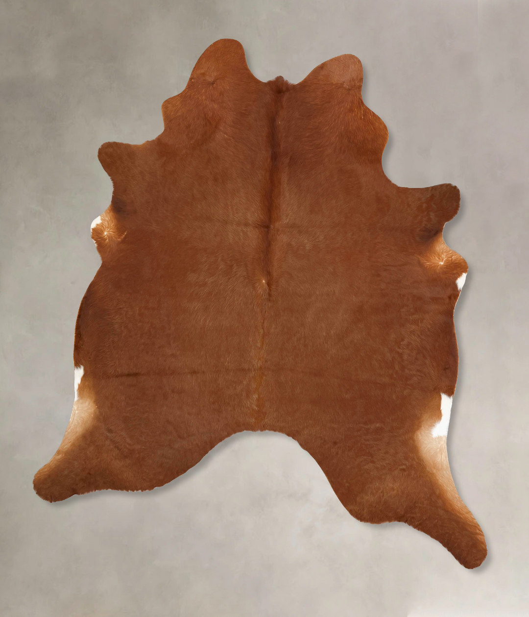 Solid Brown XX-Large Brazilian Cowhide Rug 8'2"H x 6'8"W #B13472 by Hu