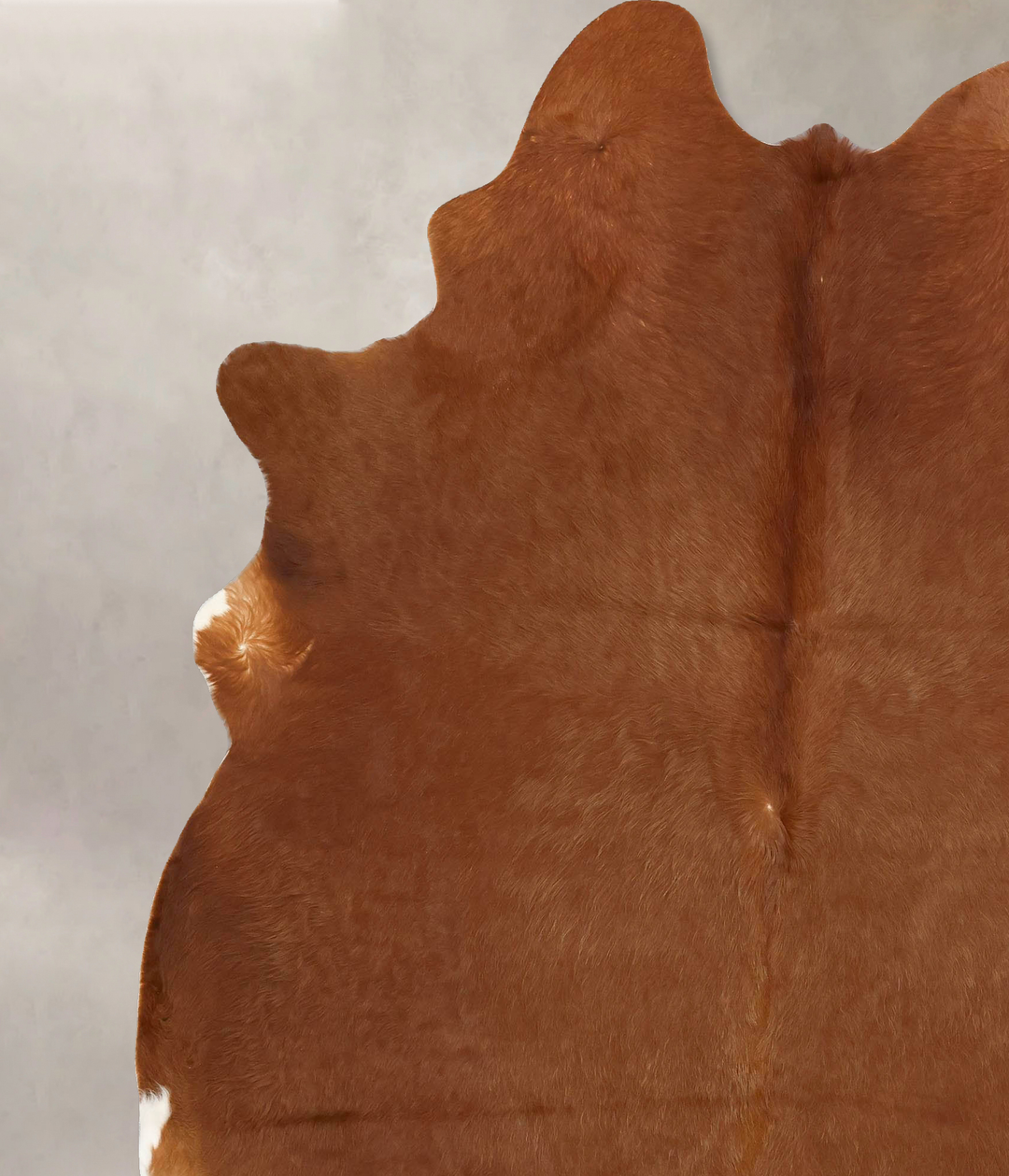 Solid Brown XX-Large Brazilian Cowhide Rug 8'2"H x 6'8"W #B13472 by Hu