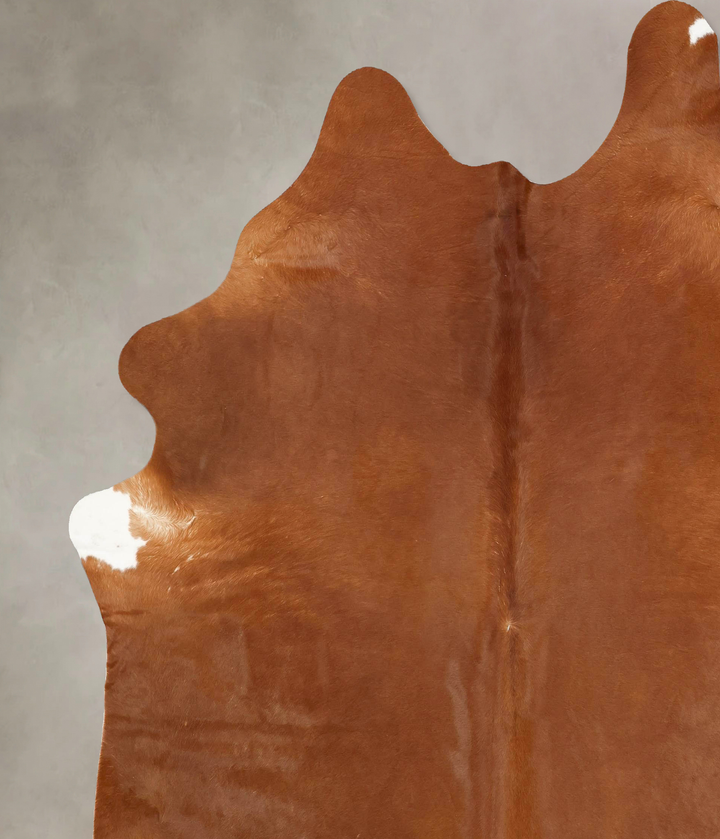 Solid Brown XX-Large Brazilian Cowhide Rug 8'9"H x 7'6"W #B13474 by Hudson Hides