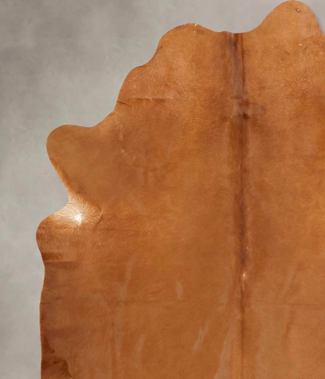 Solid Brown XX-Large Brazilian Cowhide Rug 7'10"H x 6'7"W #B13475 by H
