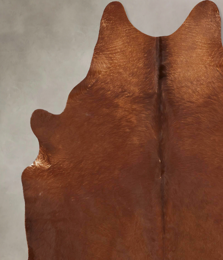 Solid Brown XX-Large Brazilian Cowhide Rug 8'1"H x 6'4"W #B13485 by Hudson Hides