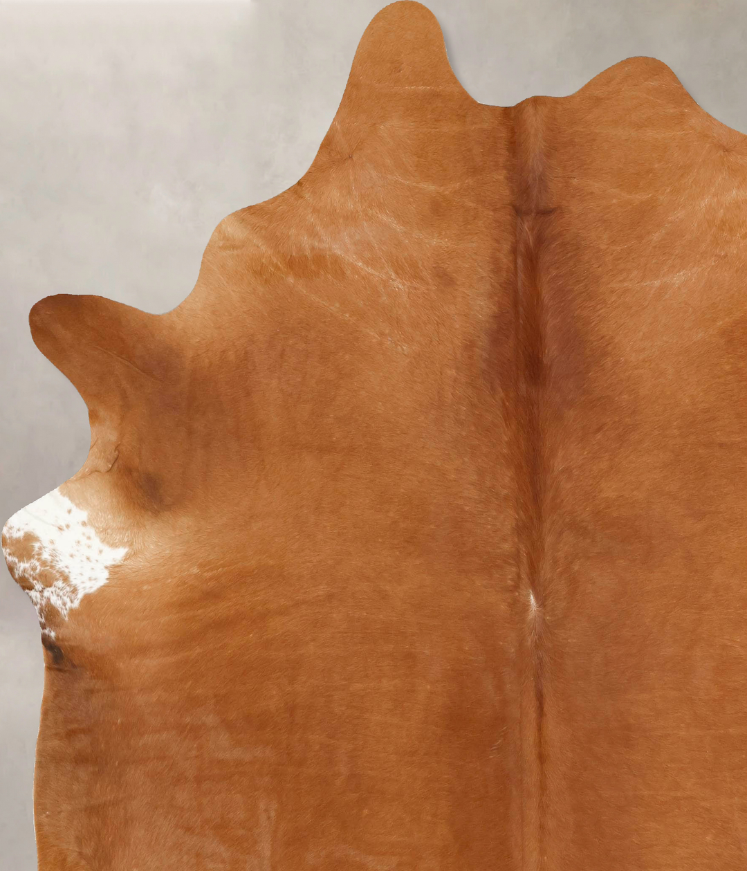 Solid Brown XX-Large Brazilian Cowhide Rug 8'6"H x 6'11"W #B13486 by H