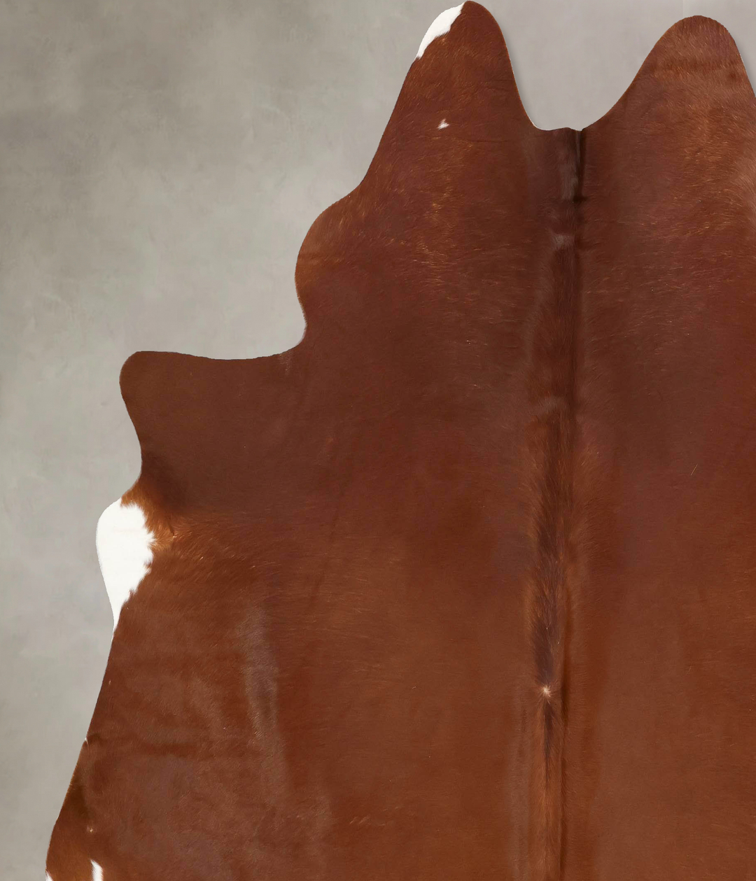 Solid Brown XX-Large Brazilian Cowhide Rug 8'0"H x 7'2"W #B13488 by Hu