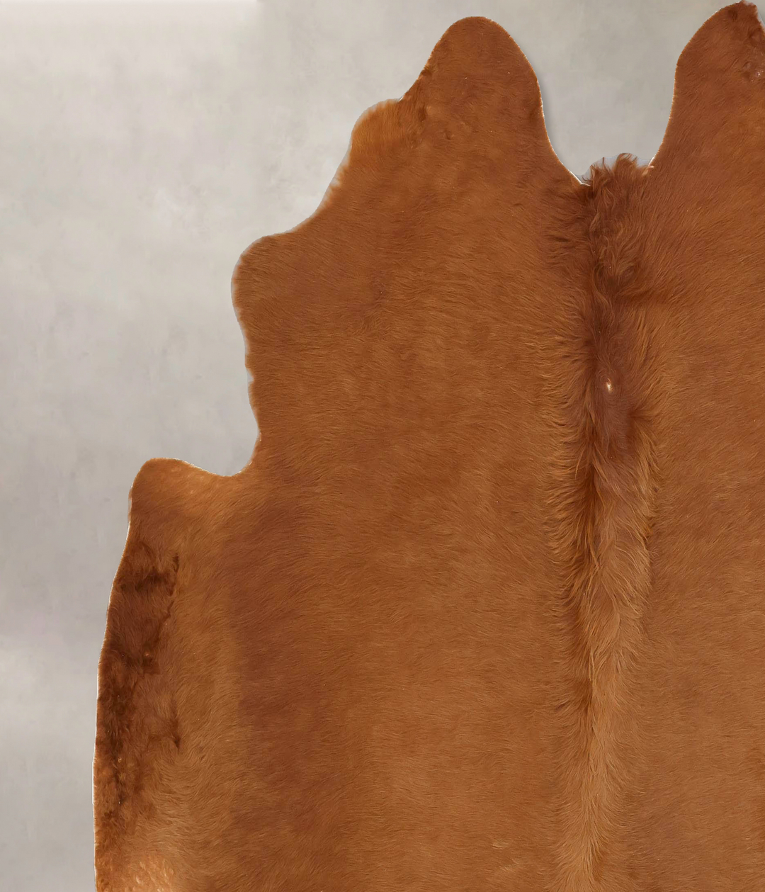 Solid Brown XX-Large Brazilian Cowhide Rug 7'1"H x 7'4"W #B13499 by Hu