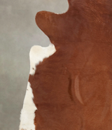 Solid Brown XX-Large Brazilian Cowhide Rug 7'3"H x 6'11"W #B1351 by Hudson Hides