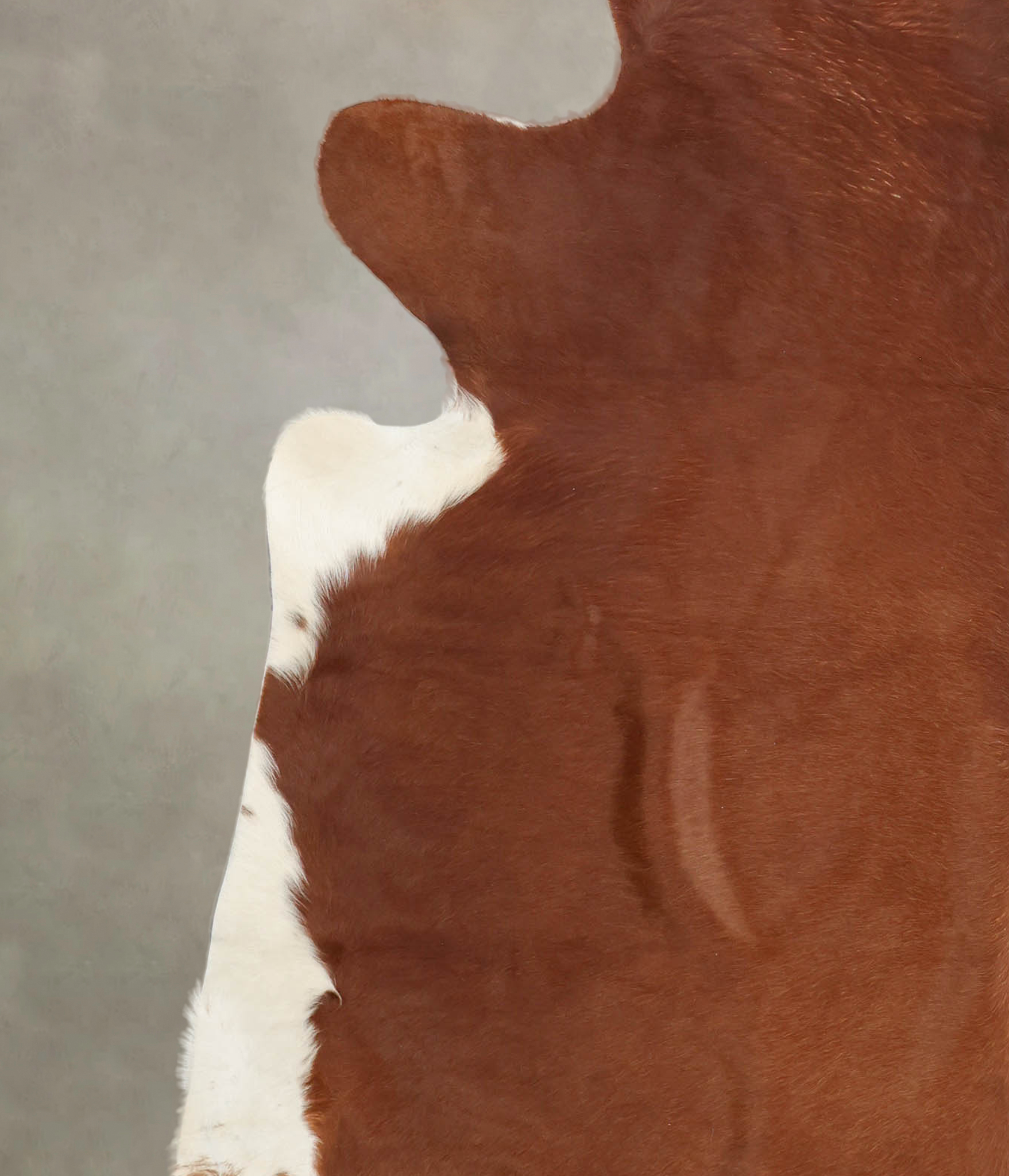 Solid Brown Cowhide Rug #B1351