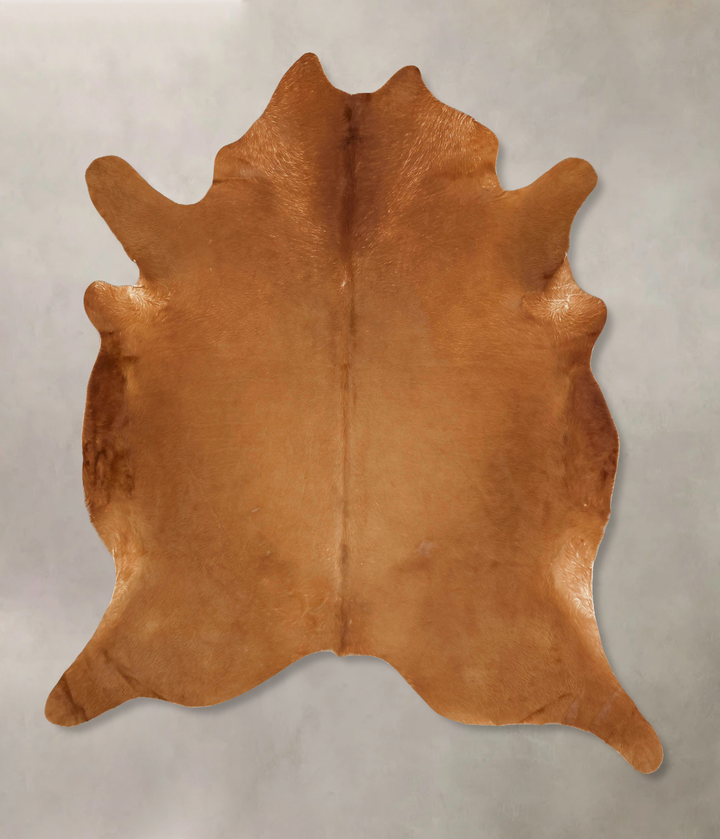 Solid Brown XX-Large Brazilian Cowhide Rug 8'2"H x 7'3"W #B13530 by Hudson Hides