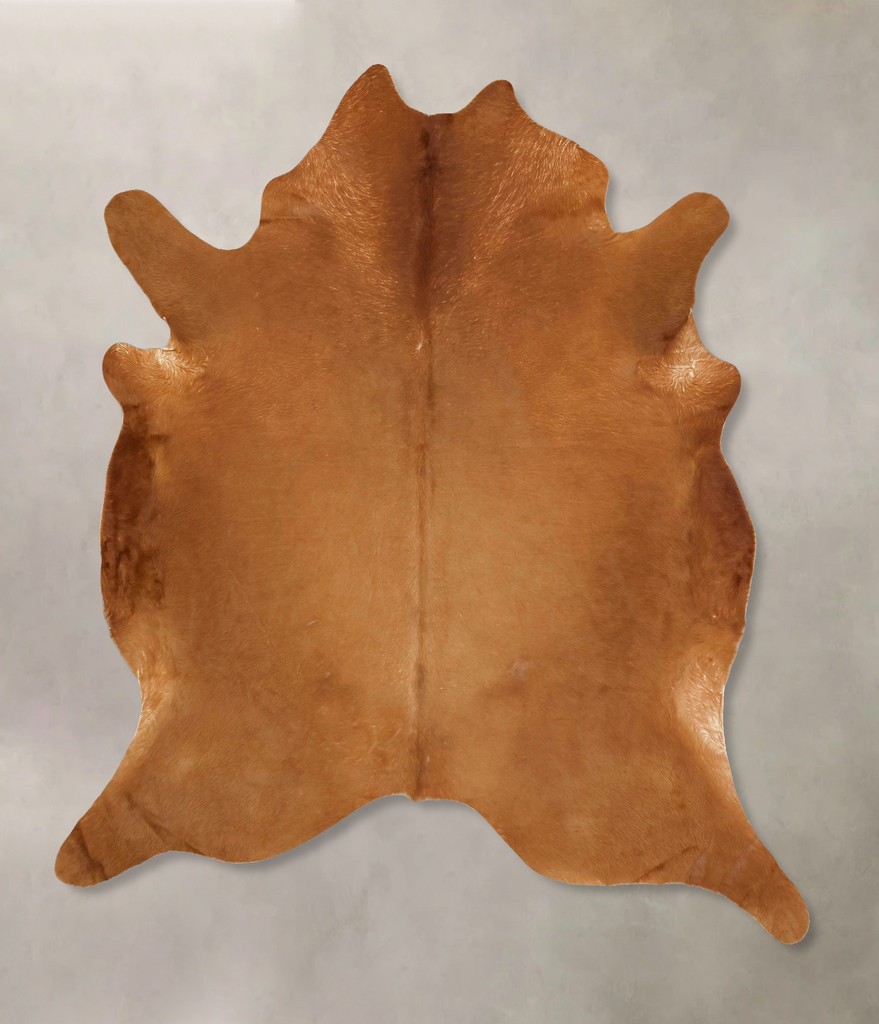Solid Brown XX-Large Brazilian Cowhide Rug 8'2"H x 7'3"W #B13530 by Hudson Hides