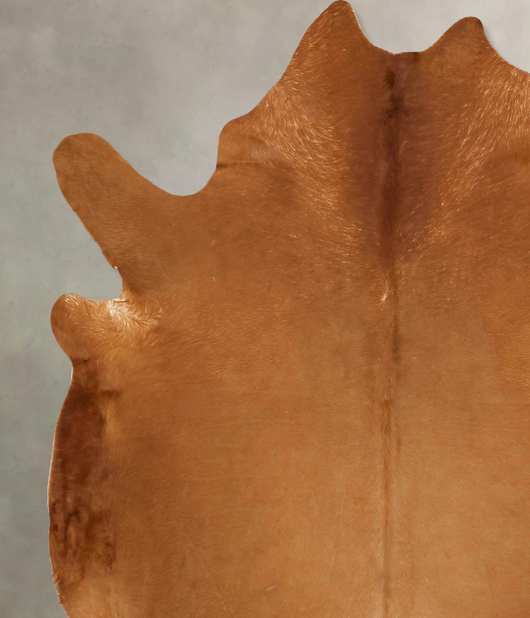 Solid Brown XX-Large Brazilian Cowhide Rug 8'2"H x 7'3"W #B13530 by Hu