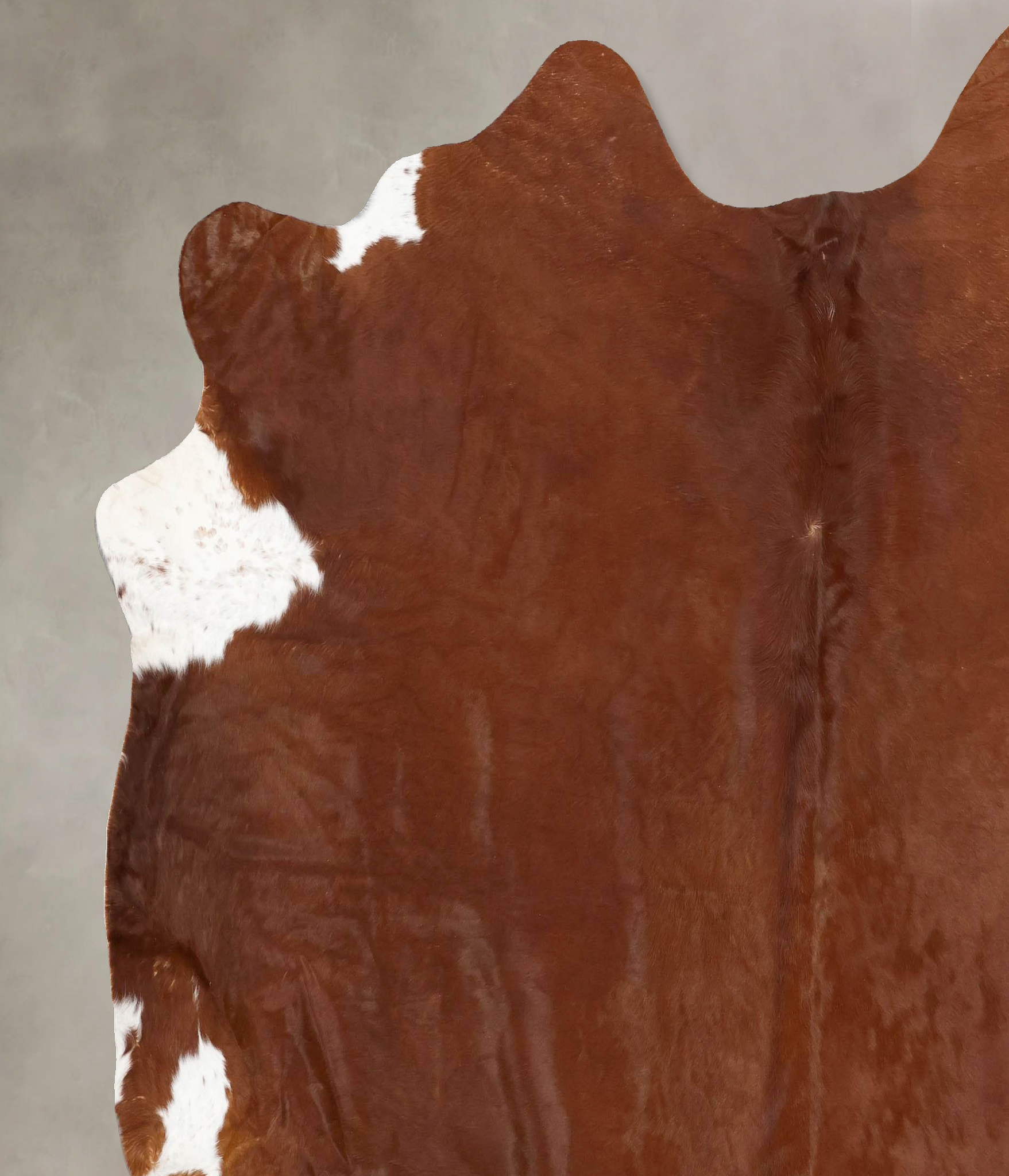 Brown and White Regular Cowhide Rug #B13538