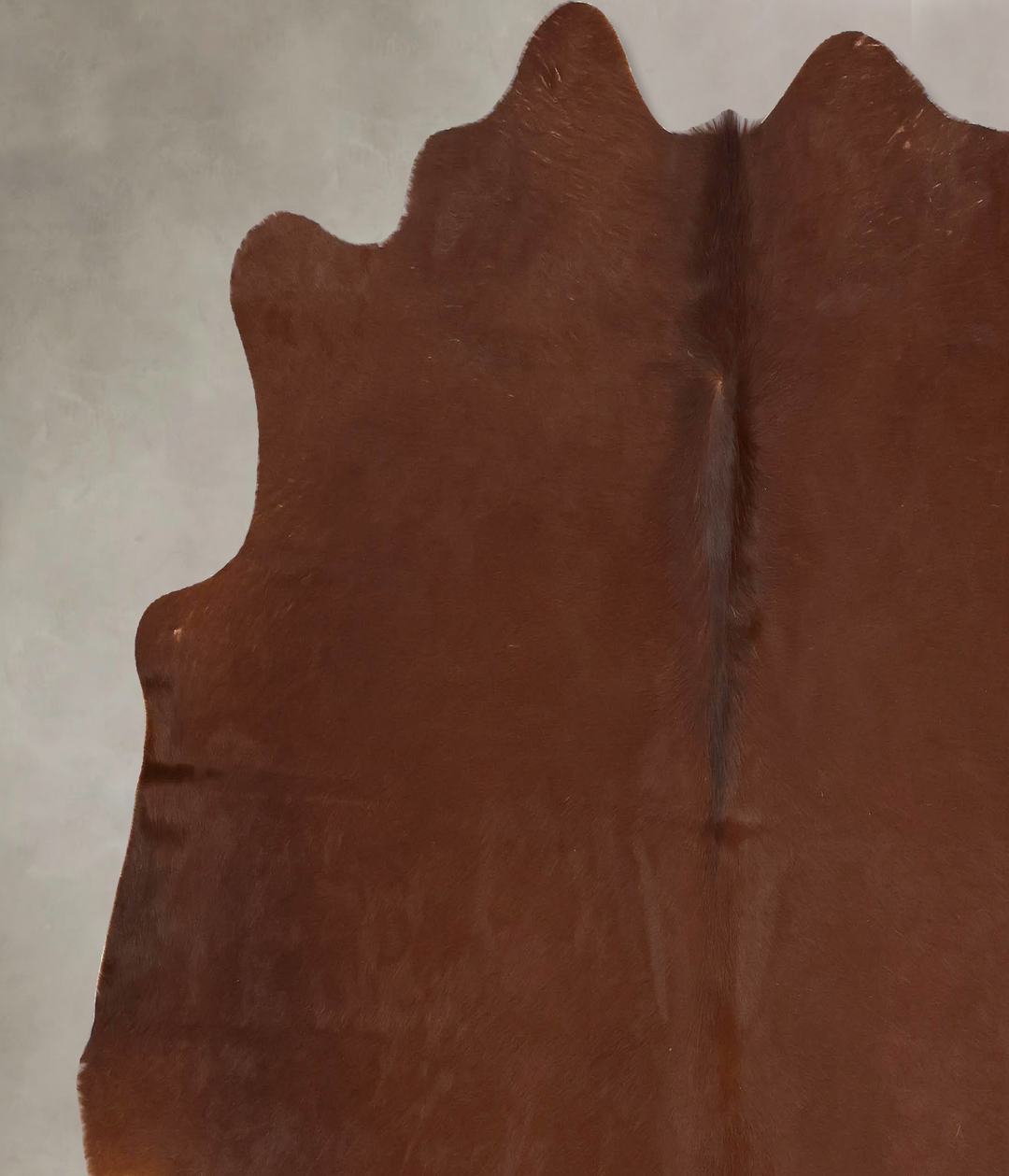 Solid Brown X-Large Brazilian Cowhide Rug 6'10"H x 7'1"W #B13544 by Hu