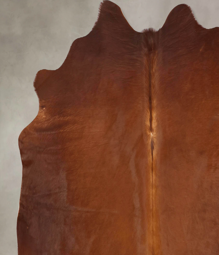 Solid Brown X-Large Brazilian Cowhide Rug 6'11"H x 7'1"W #B13545 by Hudson Hides