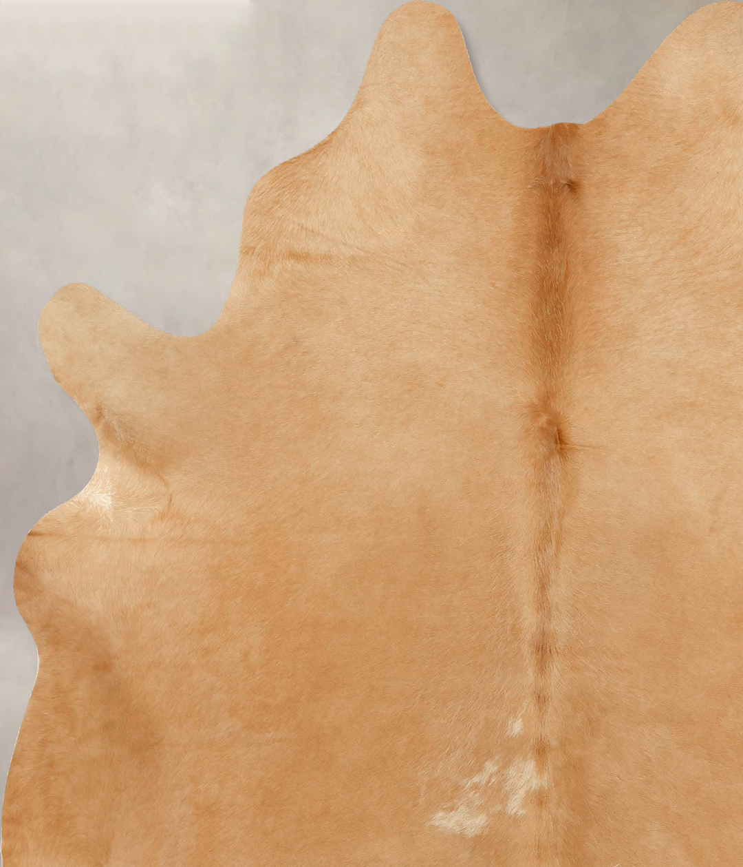 Beige X-Large Brazilian Cowhide Rug 7'7"H x 6'1"W #B13553 by Hudson Hi
