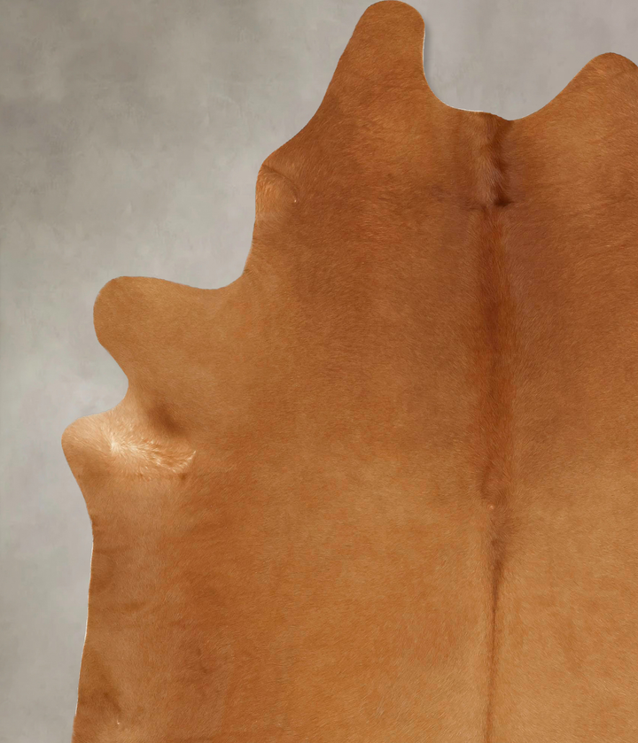 Solid Brown XX-Large Brazilian Cowhide Rug 8'4"H x 6'8"W #B13554 by Hudson Hides