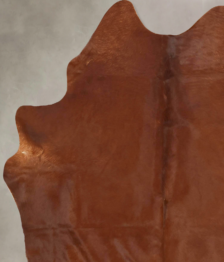 Solid Brown X-Large Brazilian Cowhide Rug 7'4"H x 5'10"W #B13565 by Hudson Hides