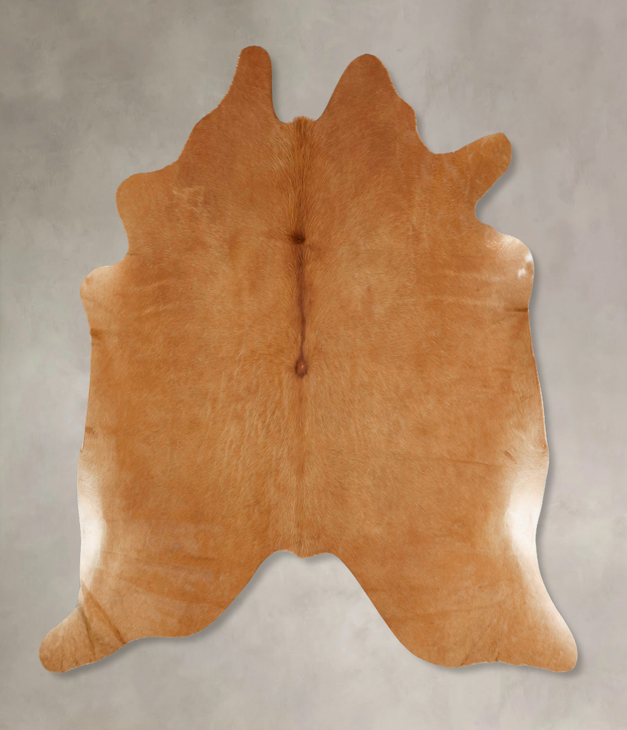 Solid Brown X-Large Brazilian Cowhide Rug 6'7"H x 7'1"W #B13569 by Hudson Hides