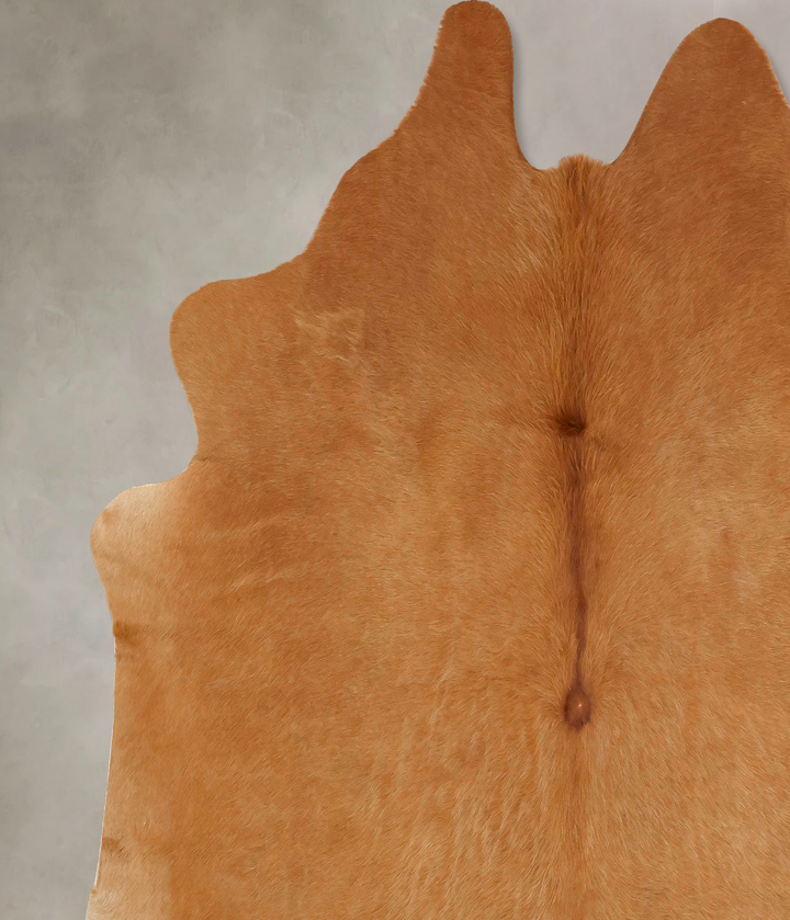 Solid Brown X-Large Brazilian Cowhide Rug 6'7"H x 7'1"W #B13569 by Hudson Hides