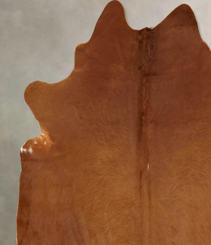 Solid Brown XX-Large Brazilian Cowhide Rug 8'5"H x 7'8"W #B13570 by Hudson Hides