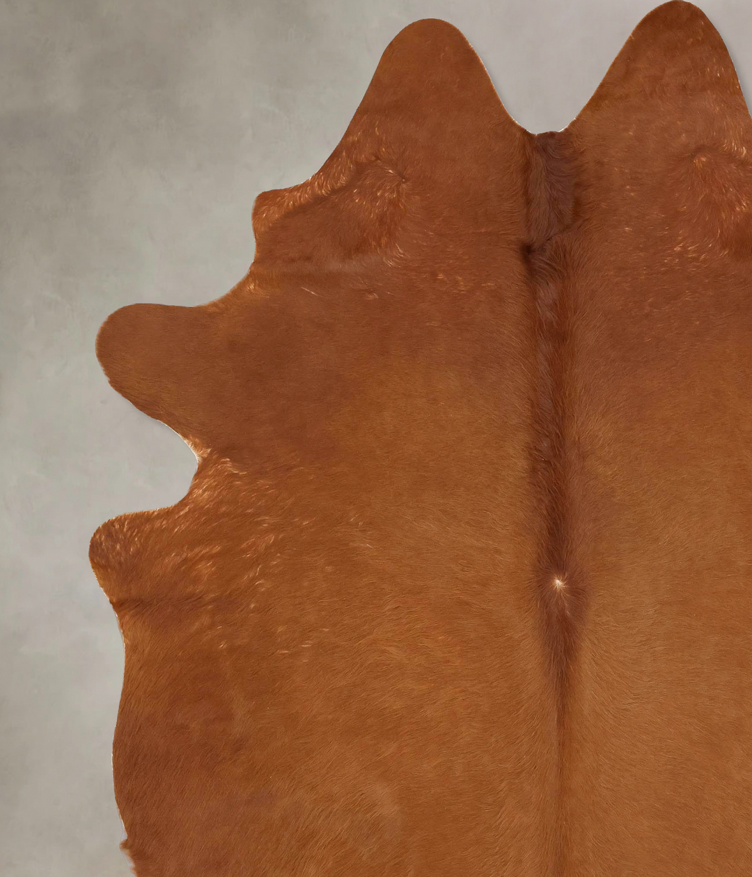 Solid Brown XX-Large Brazilian Cowhide Rug 8'4"H x 6'9"W #B13571 by Hu