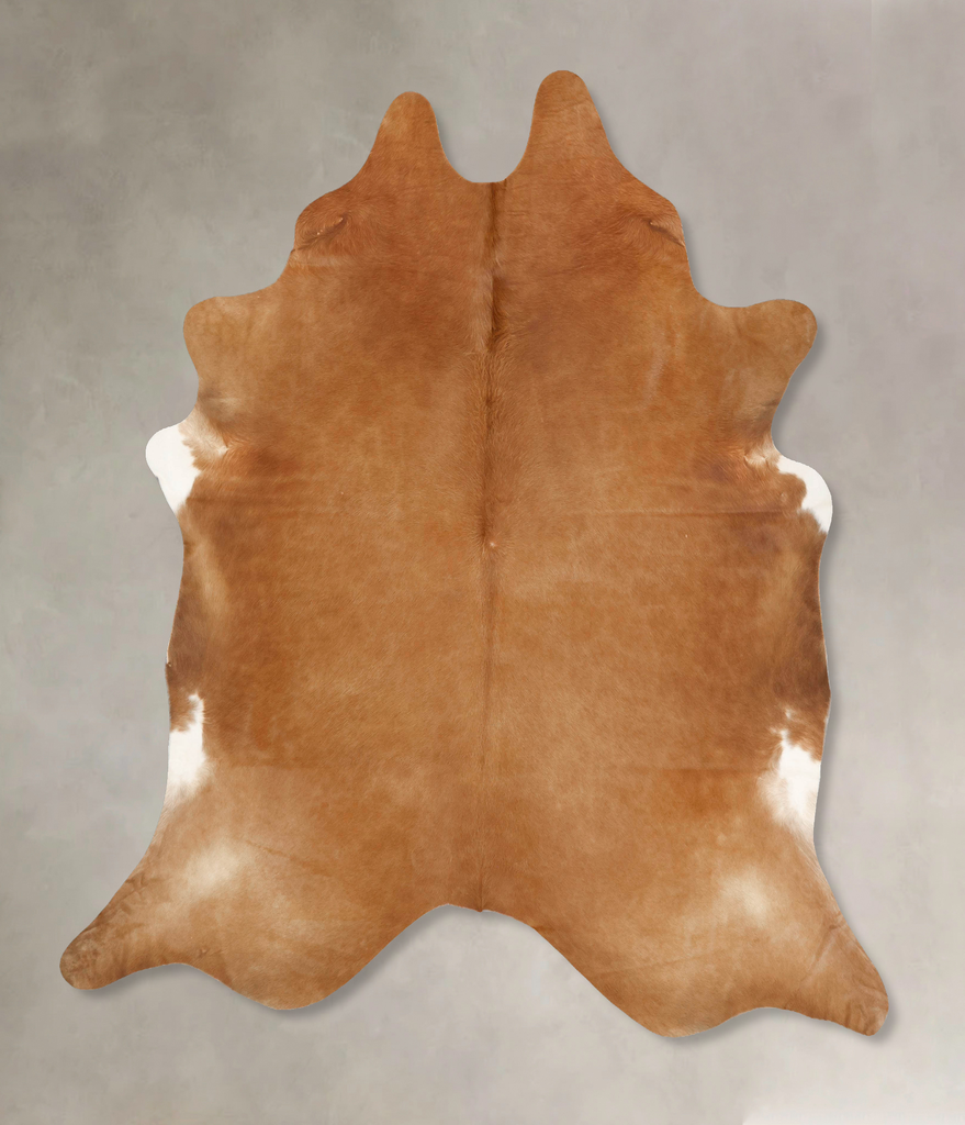 Solid Brown XX-Large Brazilian Cowhide Rug 8'5"H x 7'4"W #B13575 by Hudson Hides