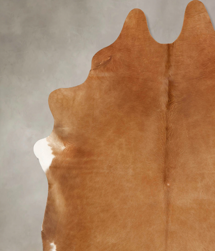 Solid Brown XX-Large Brazilian Cowhide Rug 8'5"H x 7'4"W #B13575 by Hudson Hides