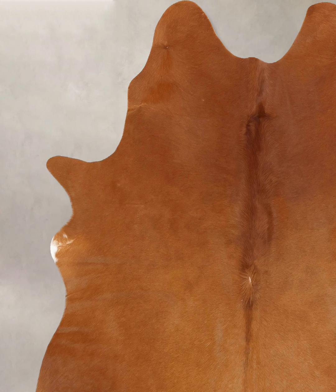 Solid Brown X-Large Brazilian Cowhide Rug 7'4"H x 6'4"W #B13580 by Hud
