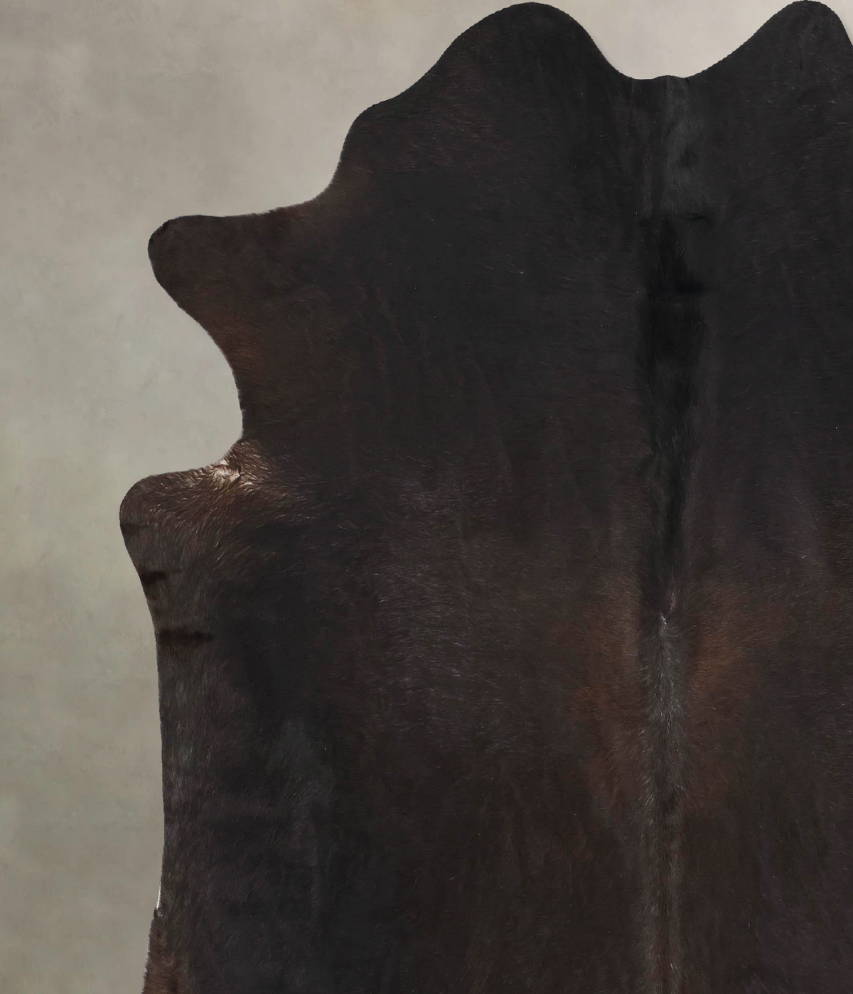 Chocolate X-Large Brazilian Cowhide Rug 7'5"H x 6'8"W #B13593 by Hudson Hides