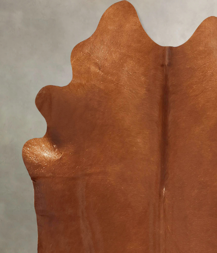 Solid Brown X-Large Brazilian Cowhide Rug 7'0"H x 6'8"W #B13595 by Hudson Hides