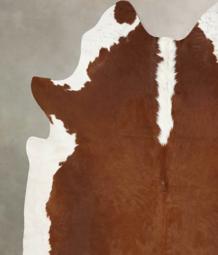 Hereford XX-Large Brazilian Cowhide Rug 8'5"H x 7'6"W #B13599 by Hudson Hides