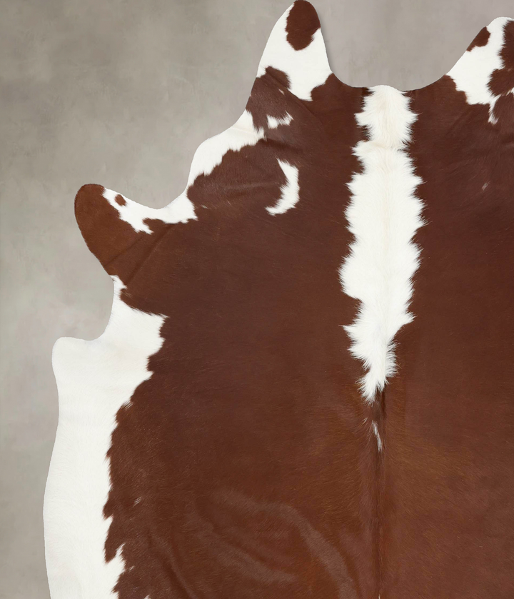 Hereford XX-Large Brazilian Cowhide Rug 8'2"H x 7'6"W #B13600 by Hudson Hides