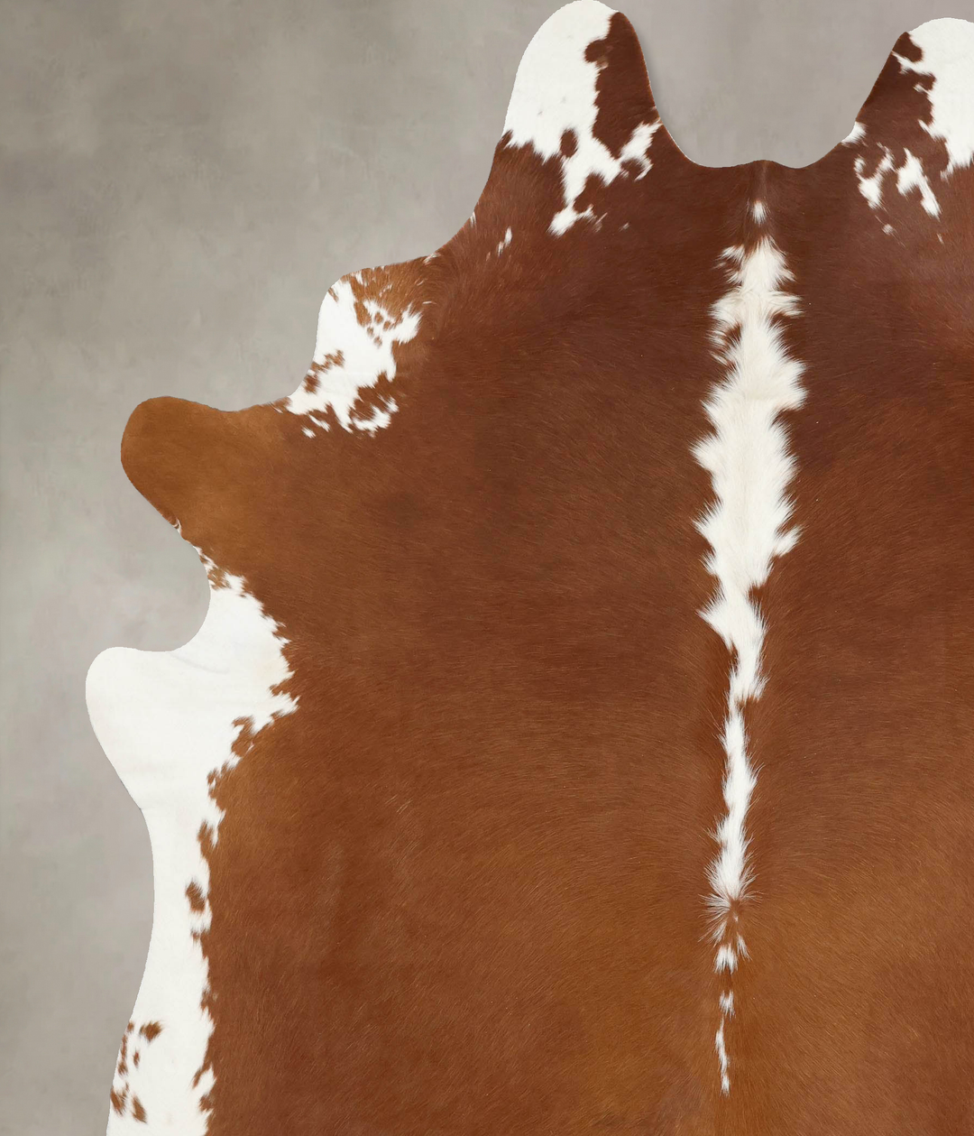 Hereford XX-Large Brazilian Cowhide Rug 8'7"H x 7'0"W #B13615 by Hudso