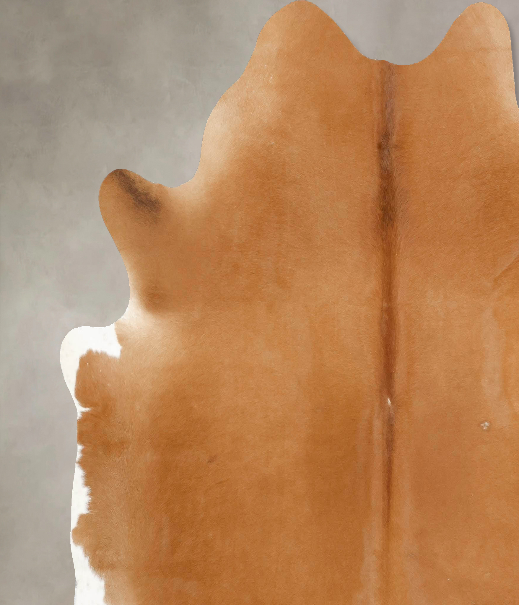 Solid Brown Cowhide Rug #B13619
