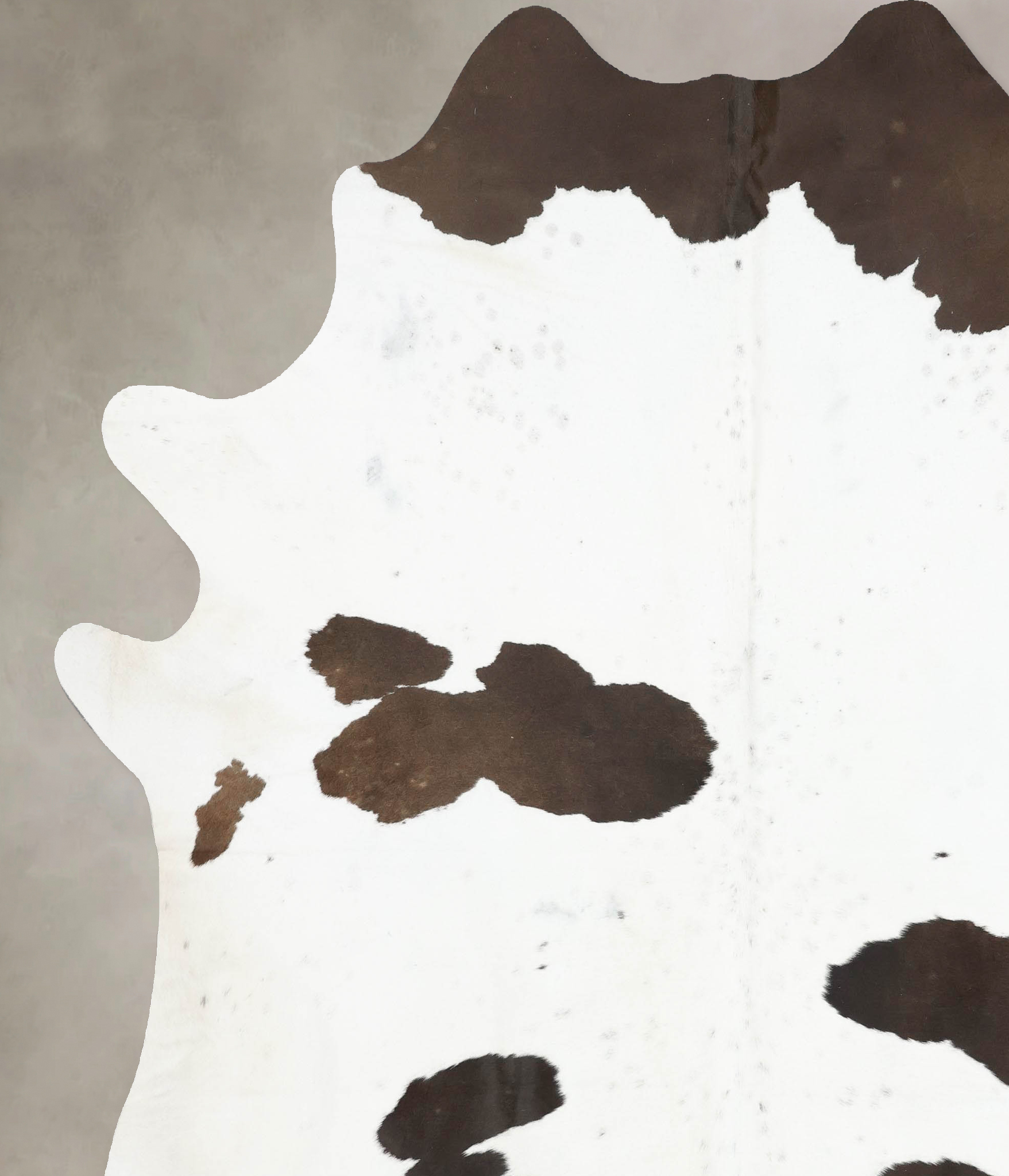 Chocolate and White Cowhide Rug #B13632