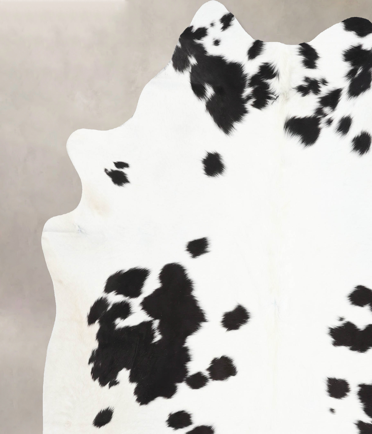 Black and White XX-Large Brazilian Cowhide Rug 8'1"H x 7'1"W #B13633 by Hudson Hides