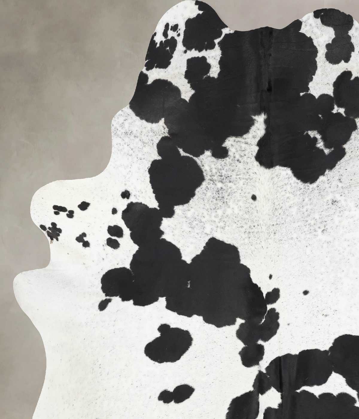 Black and White XX-Large Brazilian Cowhide Rug 8'2"H x 6'10"W #B13636 by Hudson Hides