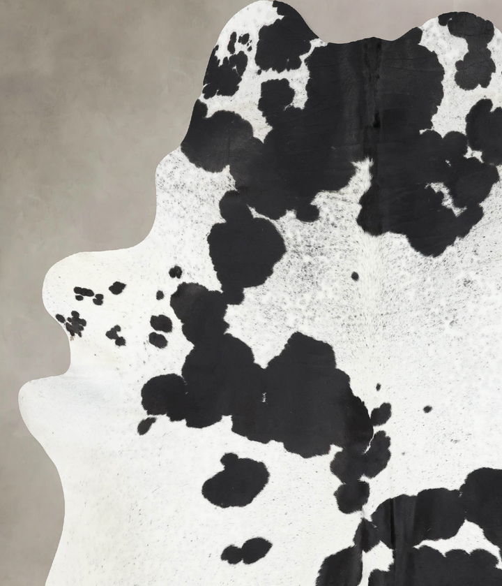 Black and White XX-Large Brazilian Cowhide Rug 8'2"H x 6'10"W #B13636 by Hudson Hides