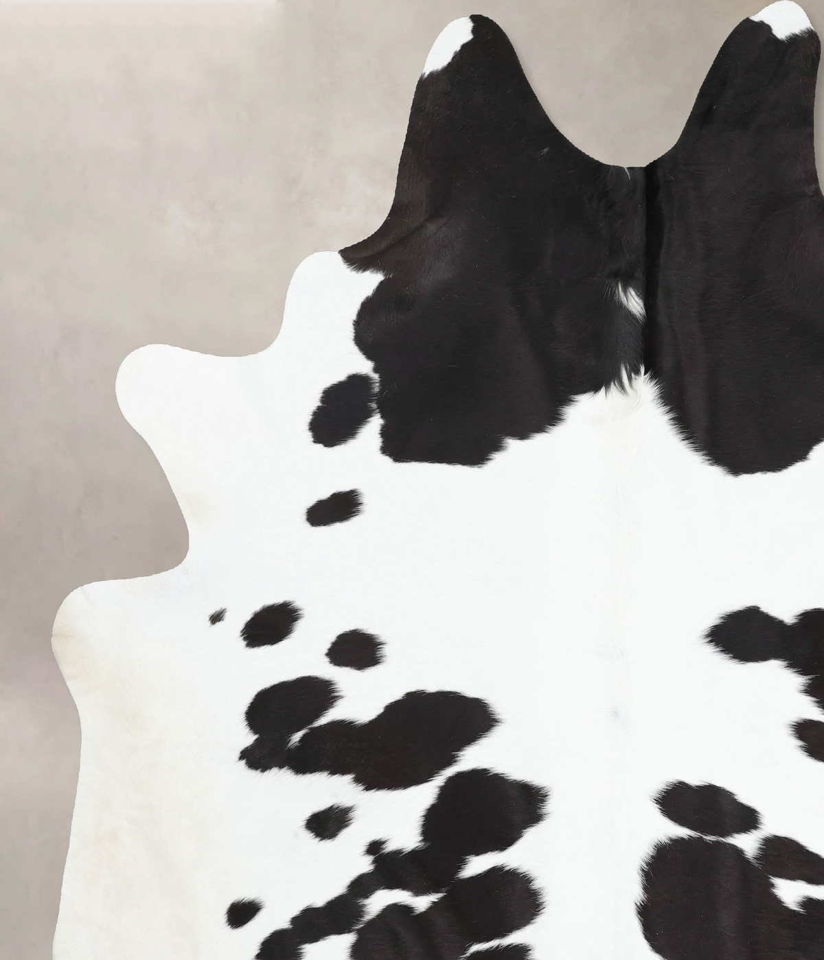Black and White XX-Large Brazilian Cowhide Rug 8'8"H x 7'0"W #B13648 by Hudson Hides