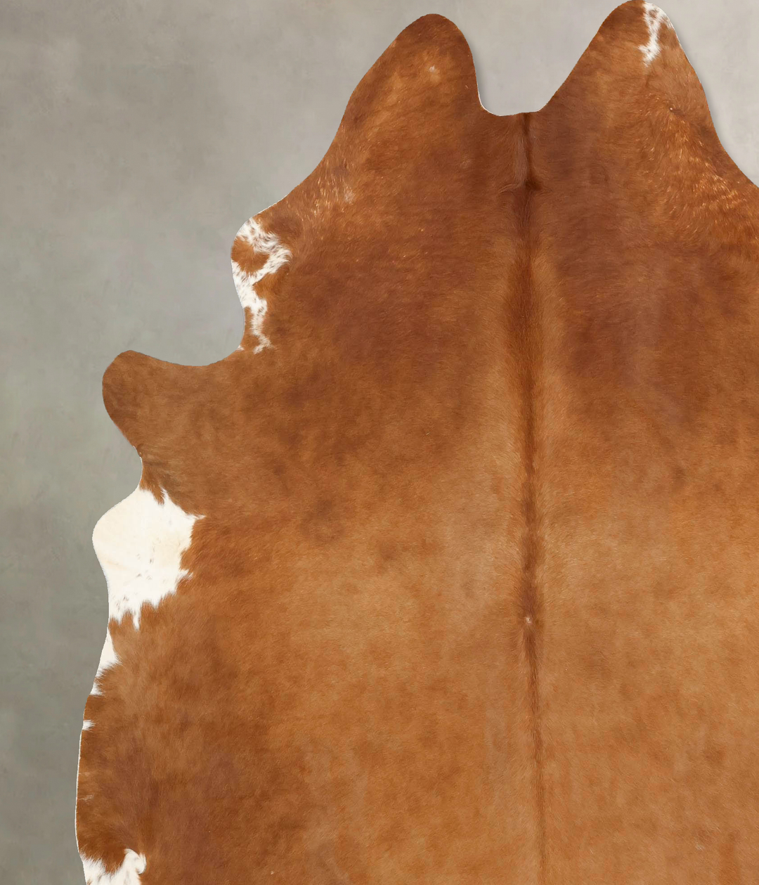 Brown and White Regular XX-Large Brazilian Cowhide Rug 7'8"H x 6'7"W #