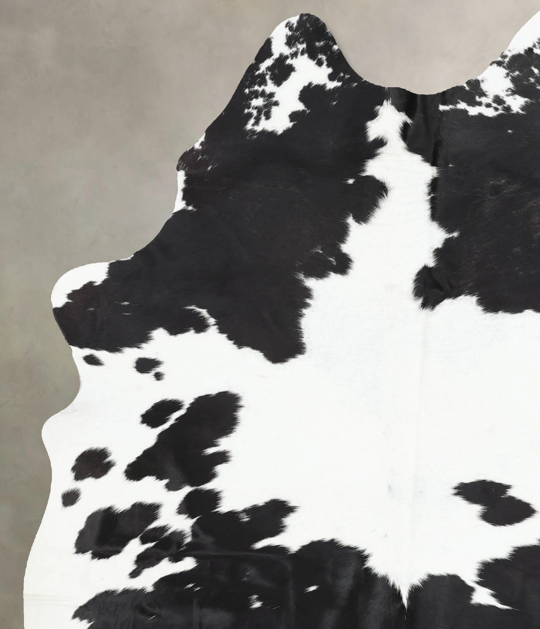 Black and White X-Large Brazilian Cowhide Rug 7'11"H x 5'5"W #B13659 b