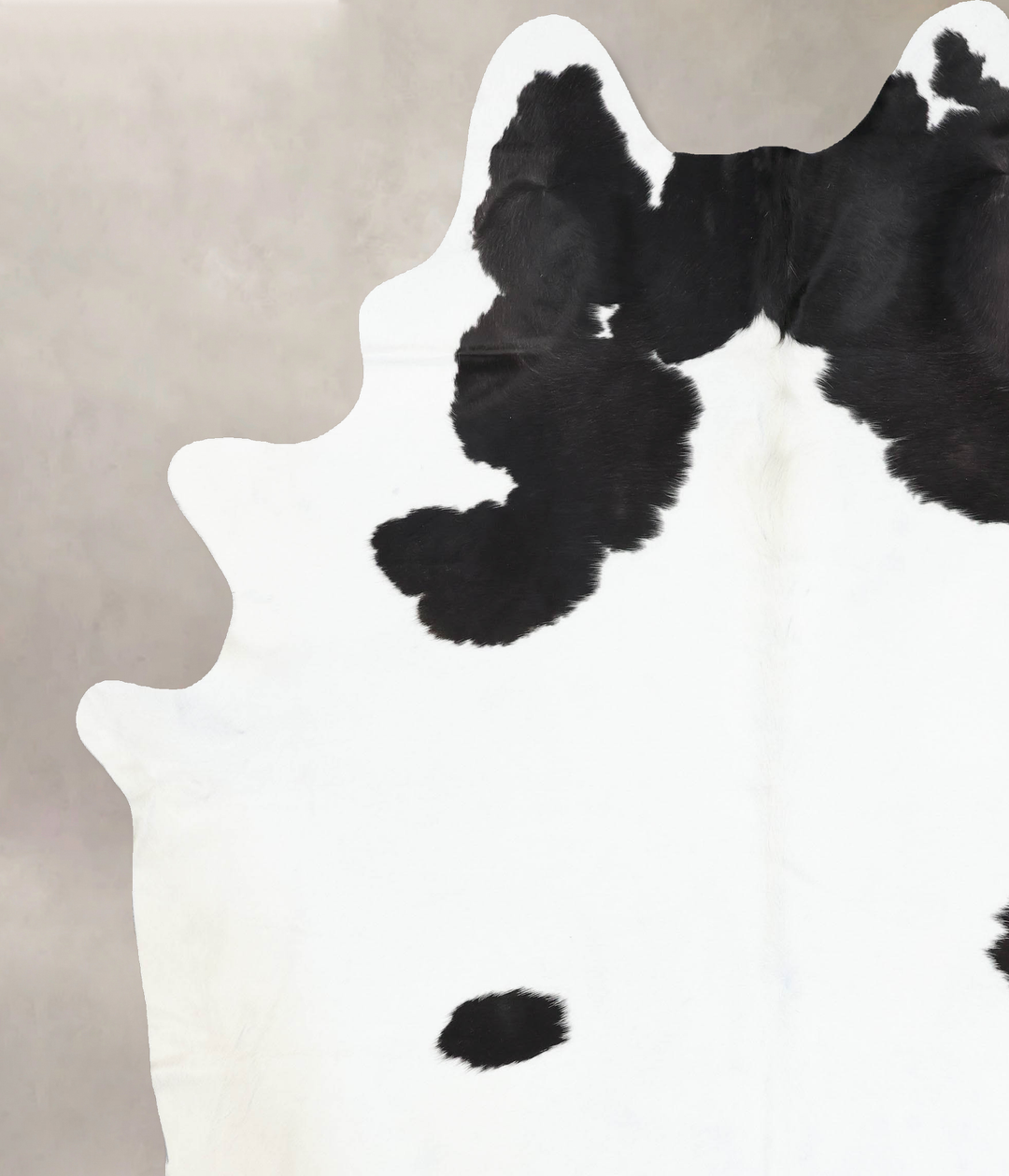 Black and White XX-Large Brazilian Cowhide Rug 9'3"H x 7'8"W #B13662 b