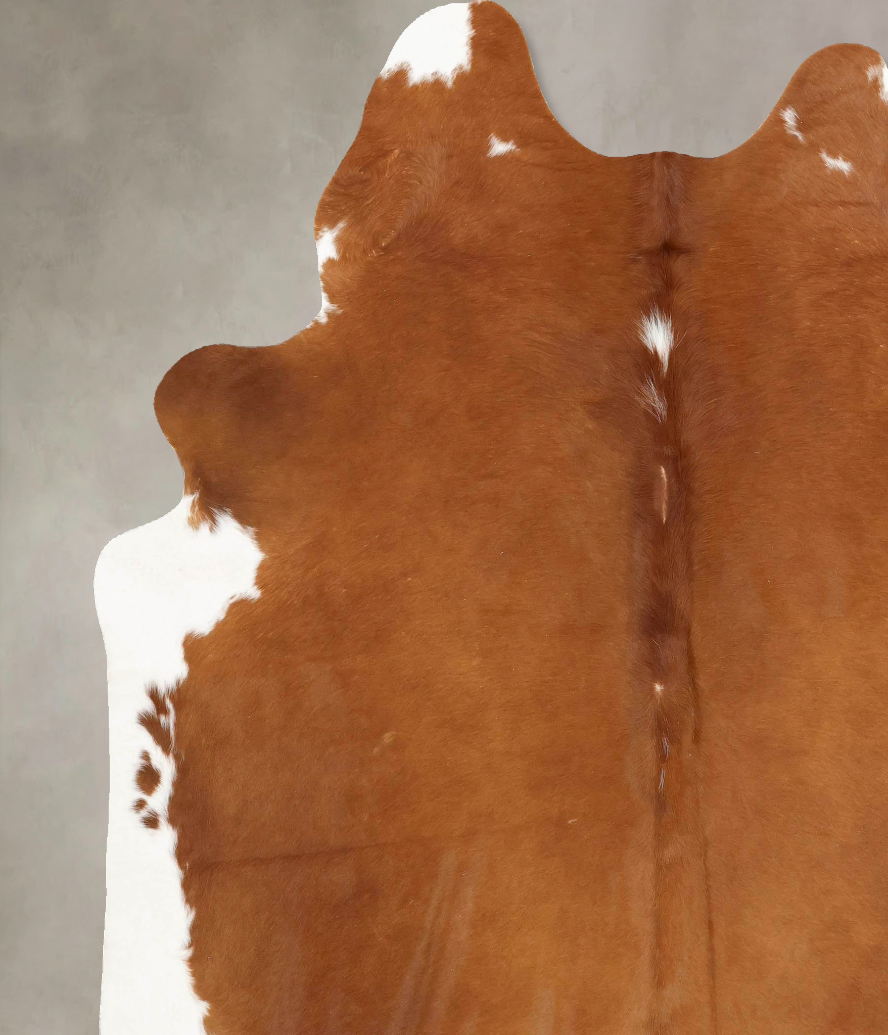 Brown and White Regular Cowhide Rug #B13669