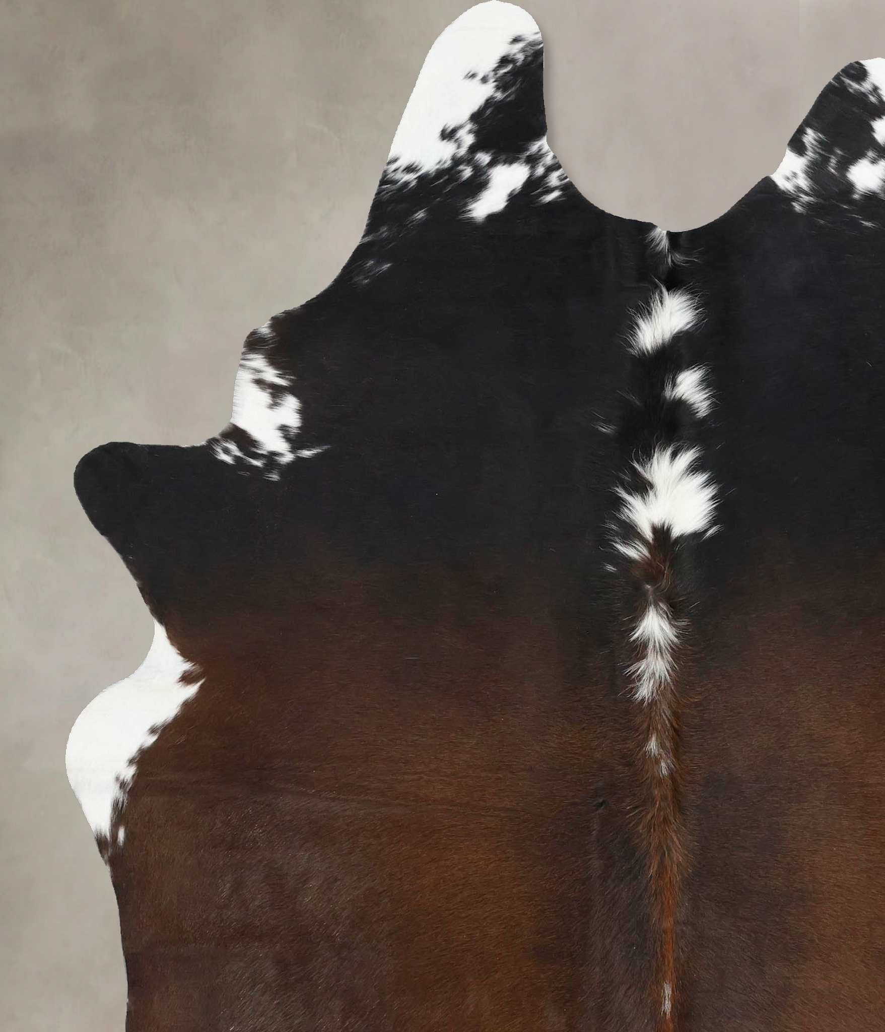 Chocolate and White Cowhide Rug #B13683