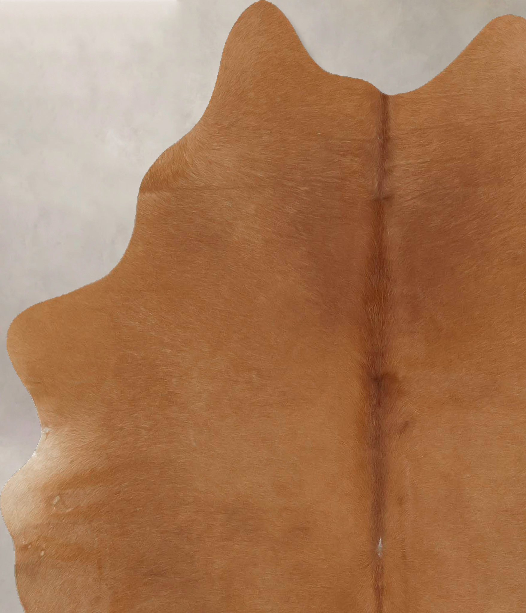 Solid Brown Cowhide Rug #B13684