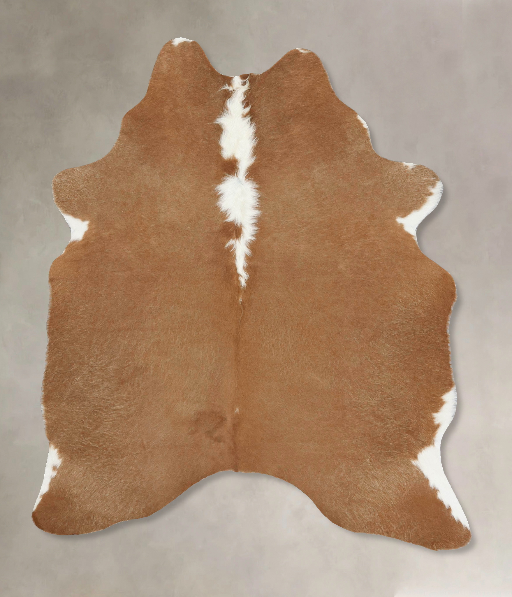 Brown and White Regular Cowhide Rug #B13690