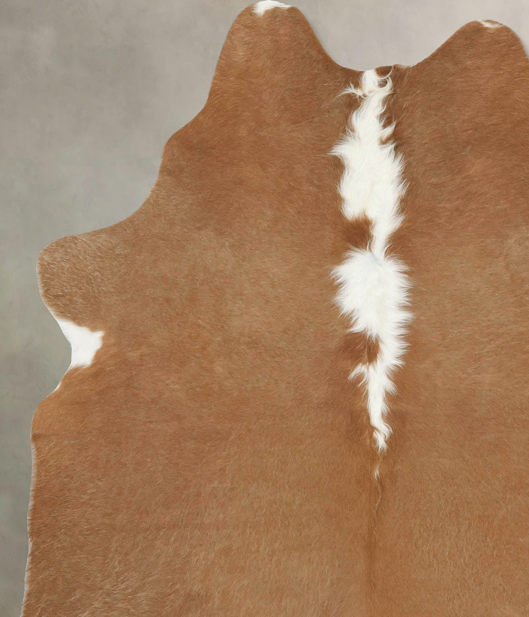 Brown and White Regular Cowhide Rug #B13690