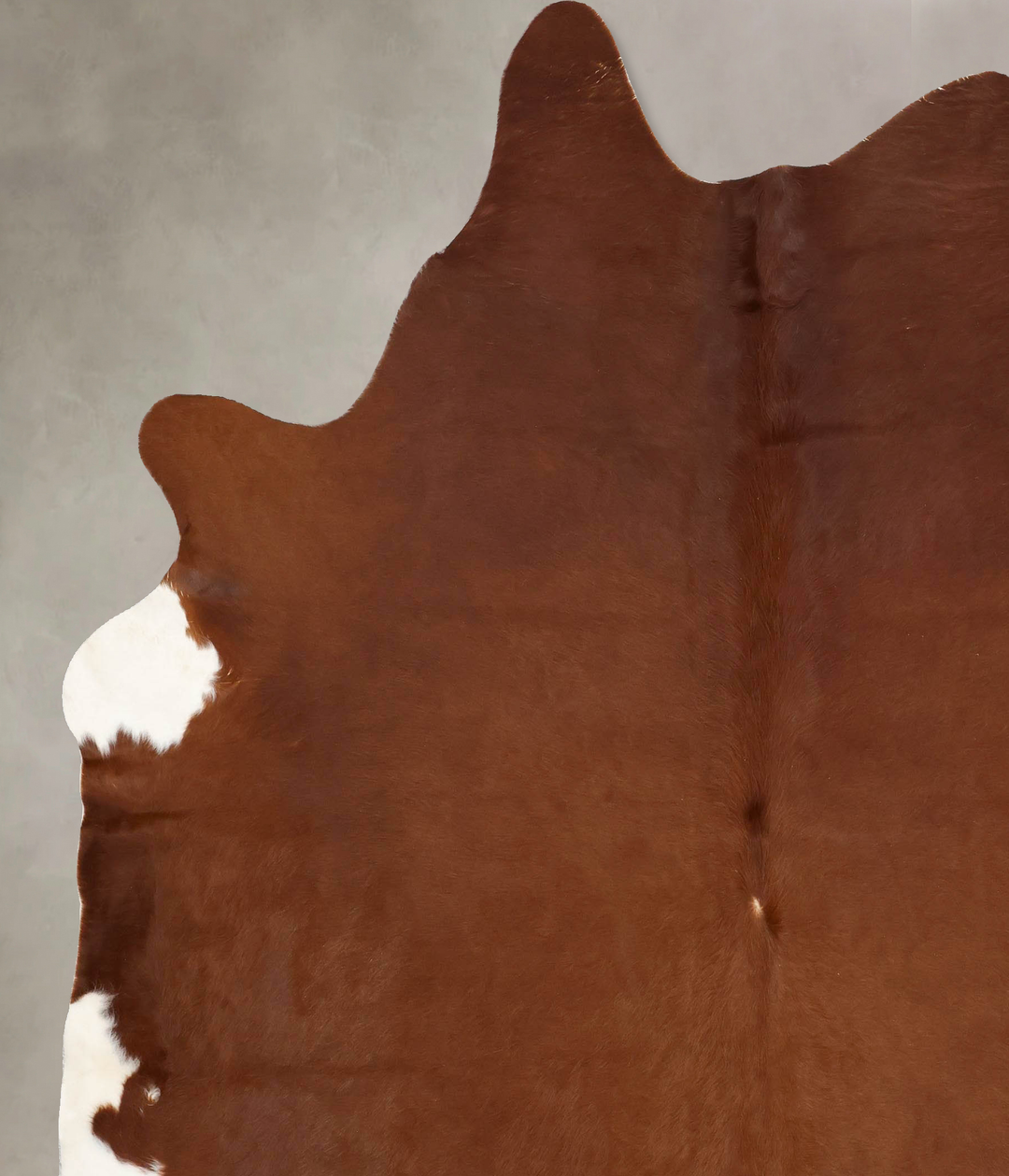 Solid Brown XX-Large Brazilian Cowhide Rug 8'6"H x 7'1"W #B13707 by Hu