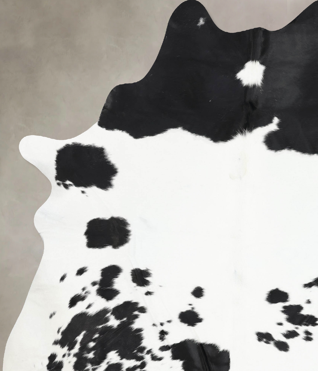 Black and White XX-Large Brazilian Cowhide Rug 8'4"H x 6'8"W #B13728 b